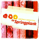 bredeschooldespringplank.nl