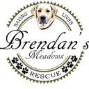 Brendan's Meadows Rescue Inc