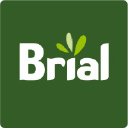 brgrupo.com