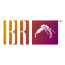 bri-associates.com