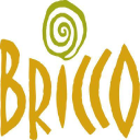 briccoakron.com