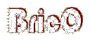 Company logo for brico-burgos.es