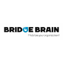 bridge-brain.com