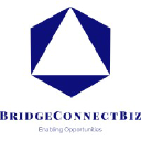 bridgeconnect.biz