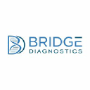 bridgediagnostics.com