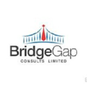 bridgegapconsults.com
