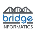 bridgeinformatics.com