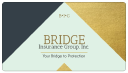 bridgeinsgroup.com