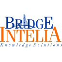 bridgeintelia.com