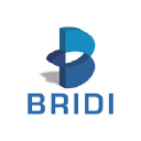 bridi.com.br