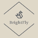 brightflyconsulting.com