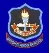 brightlandschool.co.in