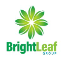brightleafgroup.com