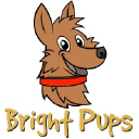 brightpups.com.au