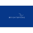 Bright Spring Strategy Consulting