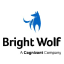 Bright Wolf LLC