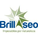 brillaseo.com