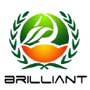 brilliantplant.com