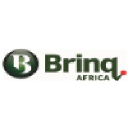 brinqafrica.com