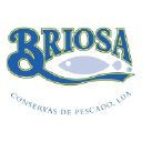 briosaconservas.com