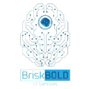 briskboldit.com