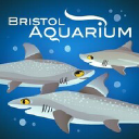 Bristolaquarium