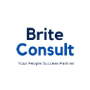 briteconsult.com
