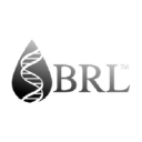 Biomedical Research Laboratories LLC