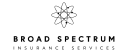 Broad Spectrum Insurance Services Inc