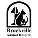 brockvilleanimalhospital.net