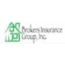 Brokers Insurance Group Inc