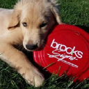 brooks-signs.com