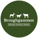 broughgammon.co.uk