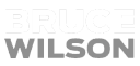 Logo for brucewilsonshop.com