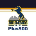 brumbies.com.au