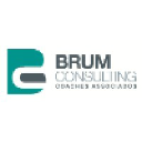 brumconsulting.com.br