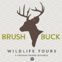 Brushbuck Wildlife Tours