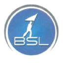 bsl consulting llc.