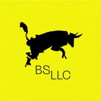BS LLC