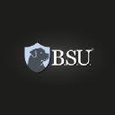 bsuseguridad.com