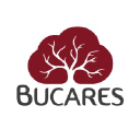 bucares.com