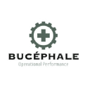 bucephale.com