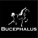 bucephalus.io