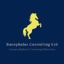 Bucephalus Consulting Ltd logo