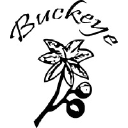 buckeyeinc.com
