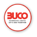 buco.com.ar