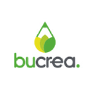 bucrea.com