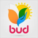 bud.org.in