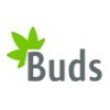 Buds CBD Flower