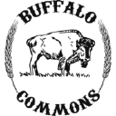 Buffalo Commons Brewing